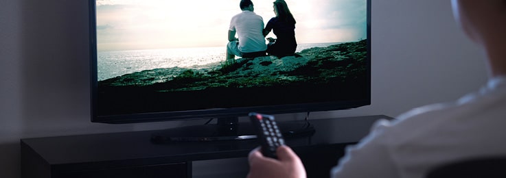 a person watching a television show