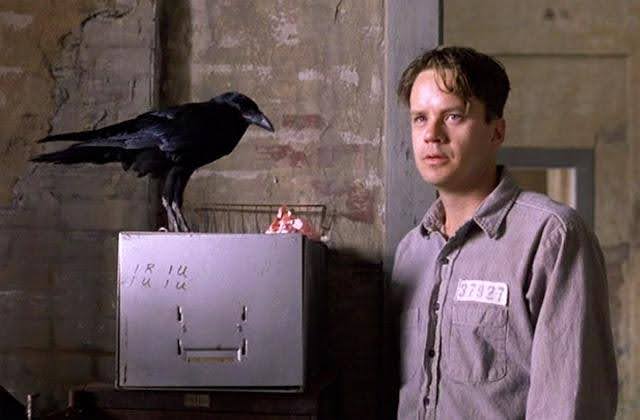 A crow is next to Andy in The Shawshank Redemption