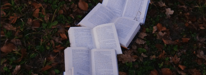 A line of open books on the ground, which is covered in leaves