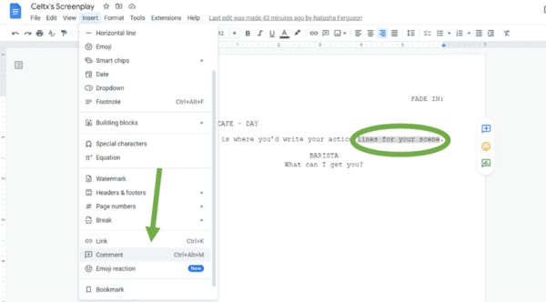 screenshot showing how to leave comments in a script written on google docs
