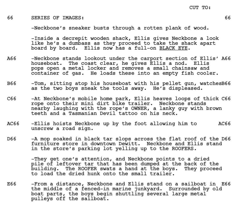 montage format example from the screenplay for Mud