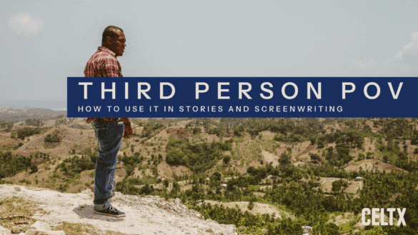 what is third person point of view