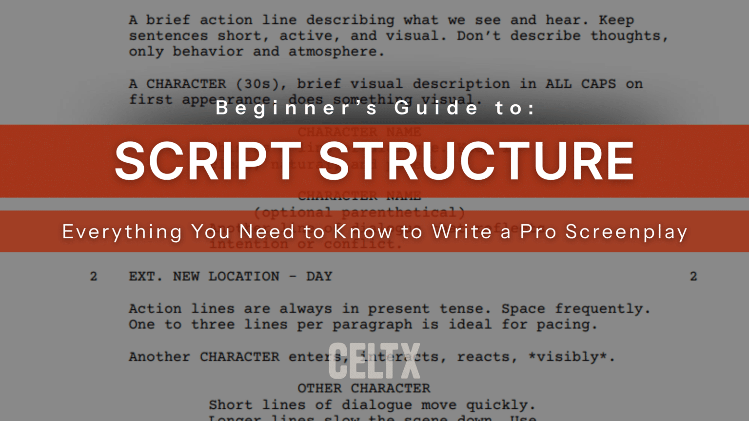 Beginner’s Guide to Script Structure: Everything You Need to Know to ...