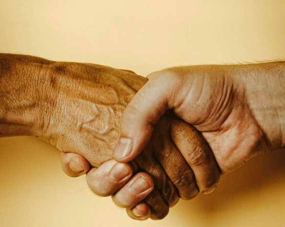 A photo of two hands clasped in a shake