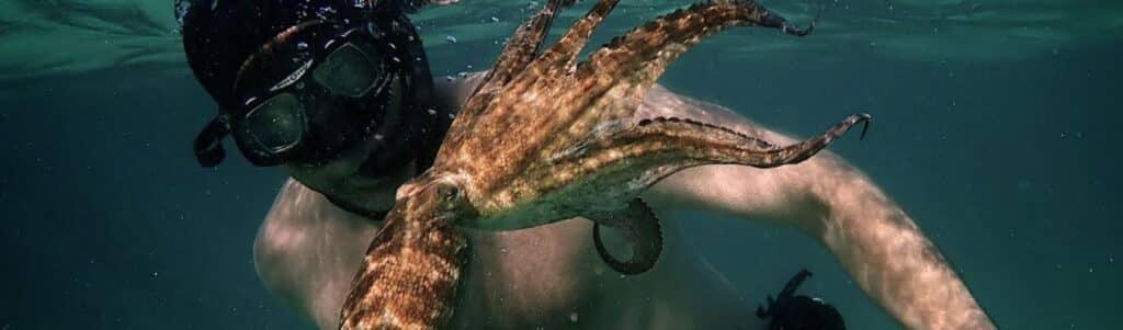 documentary film: My Octopus Teacher