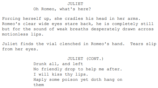 Excerpt from the Romeo + Juliet film script showing an example of types of irony in film.