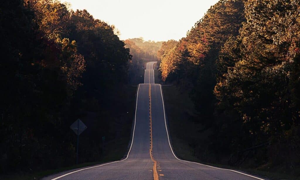 A long road parts a sea of trees just beginning to turn at the change of seasons.