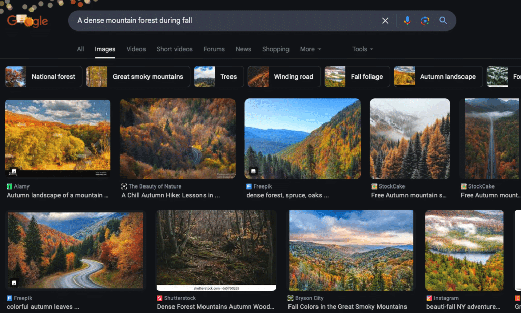 An example of a Google image search for specific visual references to help with your world-building. The search was for "A dense mountain forest during fall"