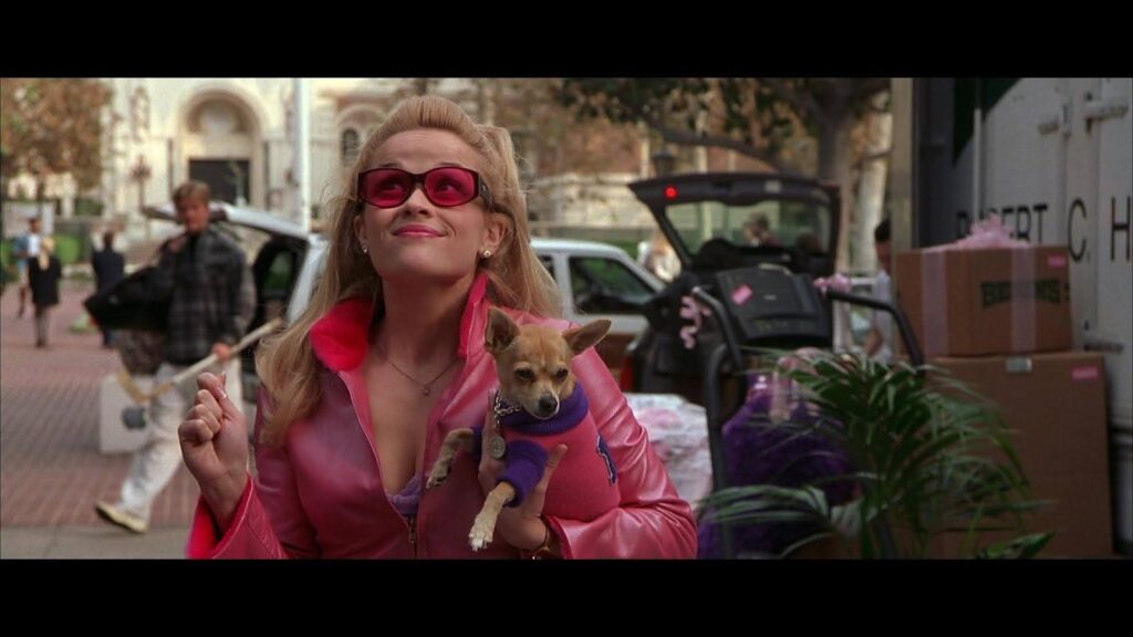 Legally Blonde: Elle gets into Harvard (and arrives on her first day)