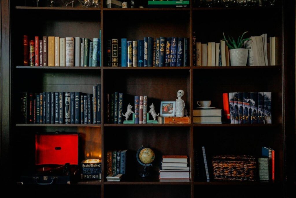 a bookshelf full of books and other spooky knick-knacks.