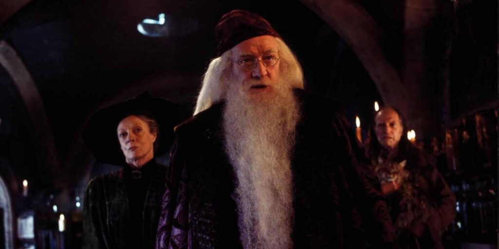 the mentor figure trope in fantasy writing: Gandalf