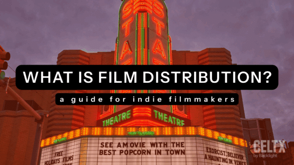What is film distribution?