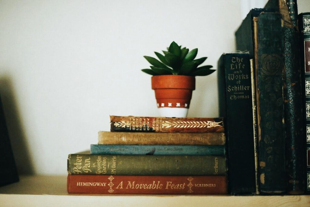 a succulent sits atop a stack of historical/old books.