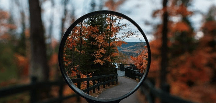 A forest trail seen through a magnifying glass