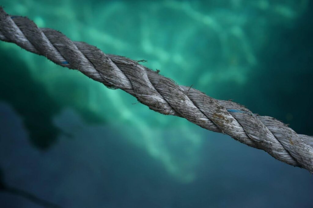 It's a rope... under tension. Oh, I get it now.
