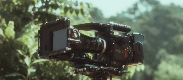 A big ol' film camera - definitely outside, surrounded by leaves and trees.