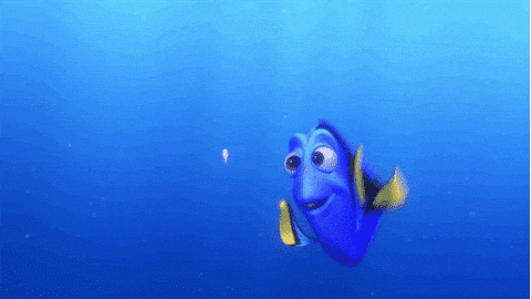 A still from the film Finding Nemo where Dory finds a tiny jellyfish and says "you will be my squishy"