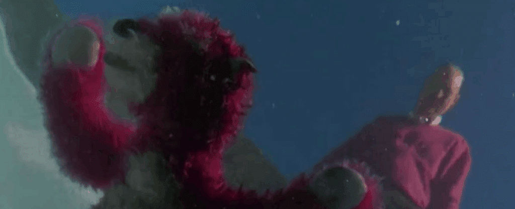 An example of a literary device in screenwriting: foreshadowing in Breaking Bad. This is a still of a scene of Walter White overlooking a pinkk teddy bear that is floating in a pool