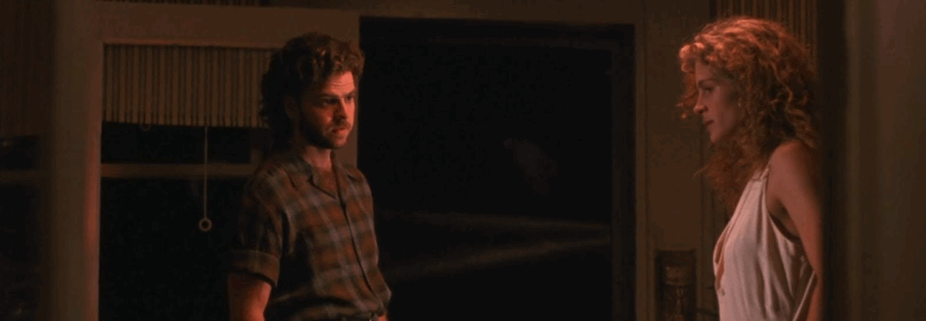 A still from the thriller movie Sleeping with the Enemy