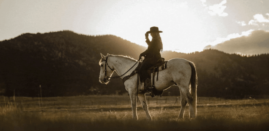 western movie genre

a woman on the back of a white horse out on the open range